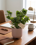 Custom Plant - Administrative Professionals Day