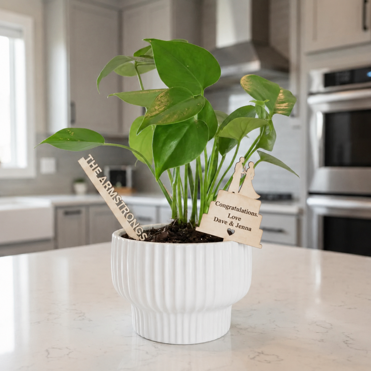 Custom Plant