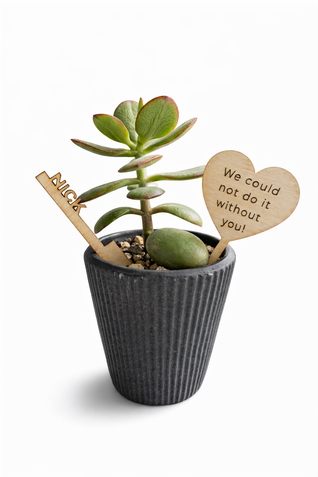 Custom Plant - Administrative Professionals Day