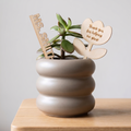 Custom Plant