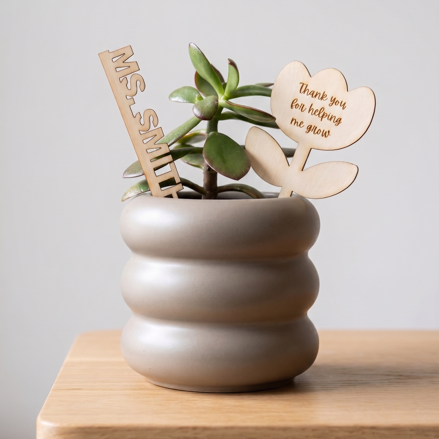 Custom Plant