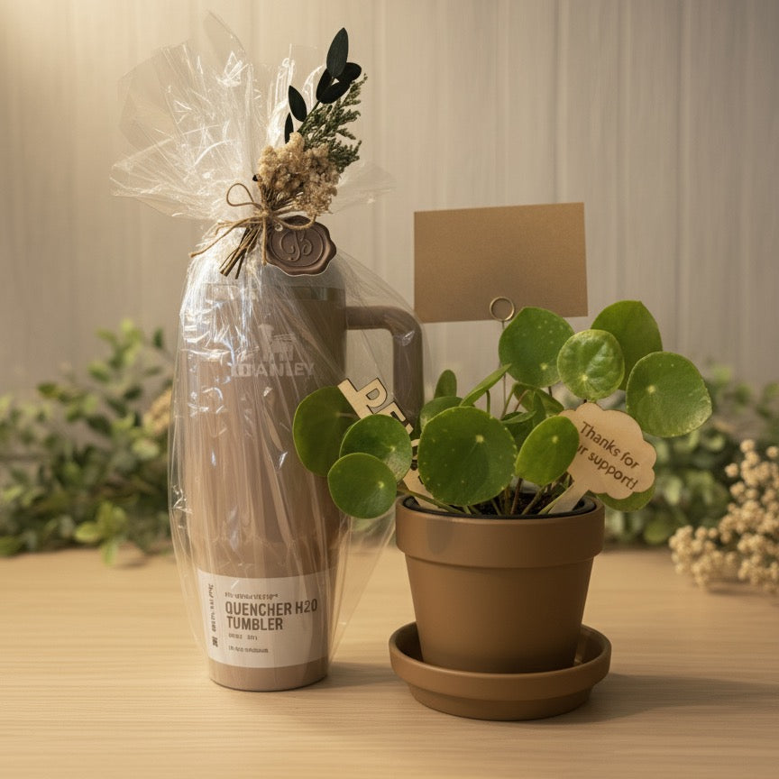 Custom Plant + Tumbler Set